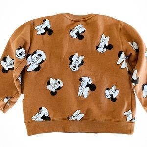Rare Zara Minnie Sweater